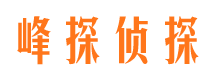 蒲江市私家侦探